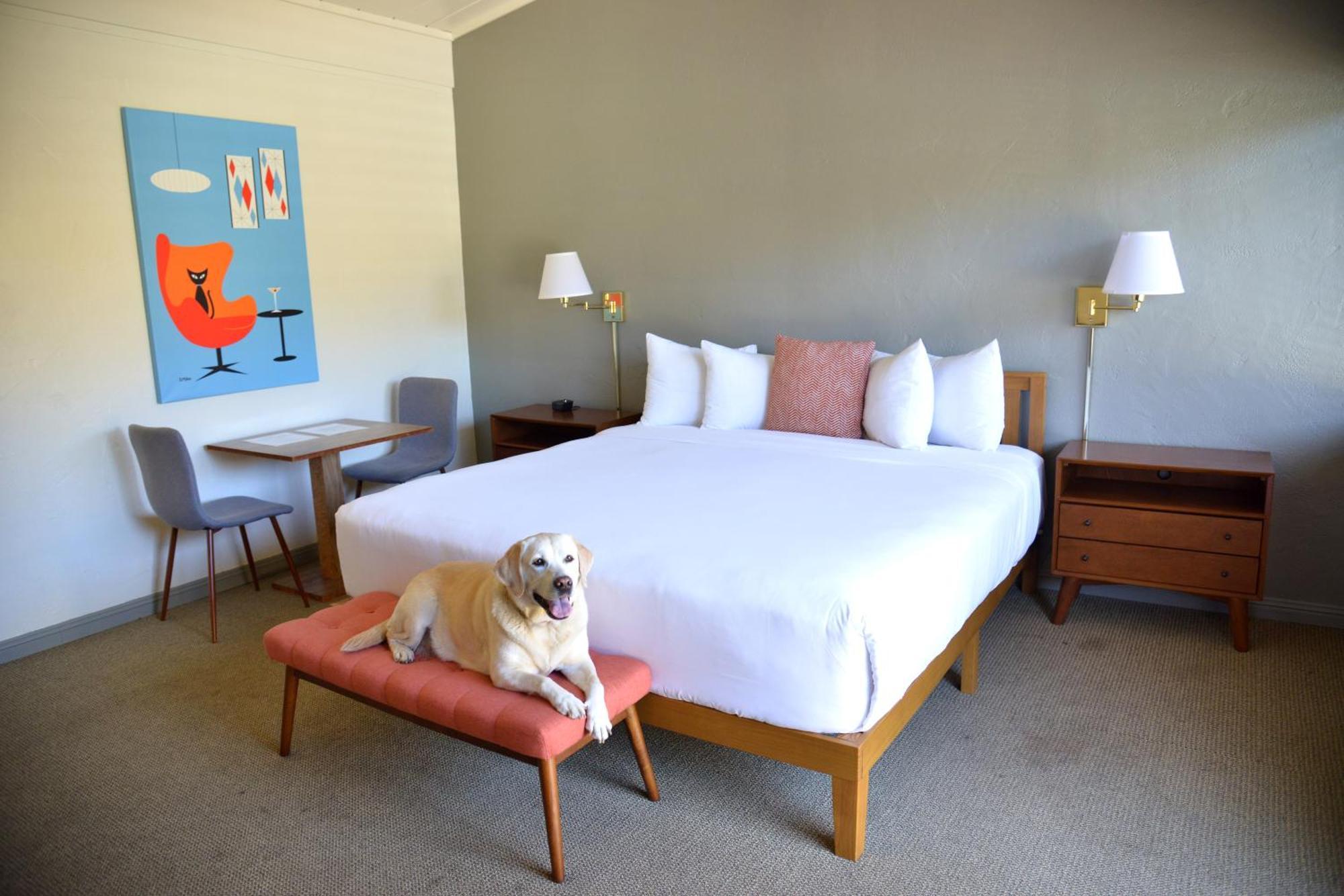 Contenta Inn Carmel Valley Esterno foto