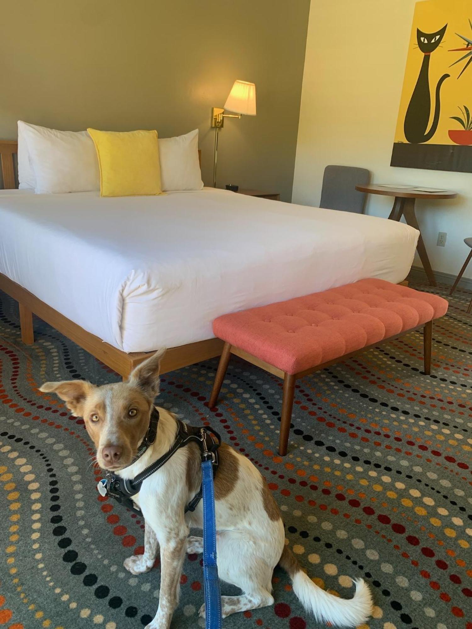 Contenta Inn Carmel Valley Esterno foto